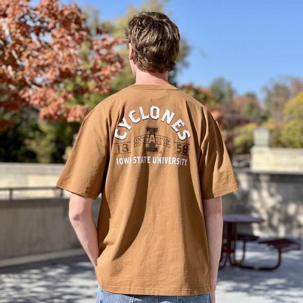 Carhartt I-State 1858 Brown T-Shirt